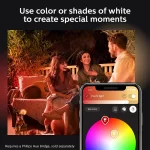 Philips Hue Spot Lily Extension Kit - 915005629801