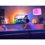 Philips Hue Play Gradient Light Strip 65 Inch - 929002422901