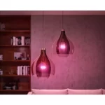 philips-hue-a67-e27-smart-bulb-1100-929002468801