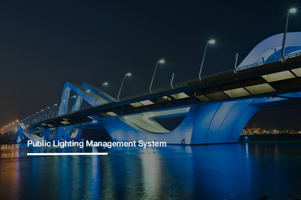 Philips Public Lighting Management System